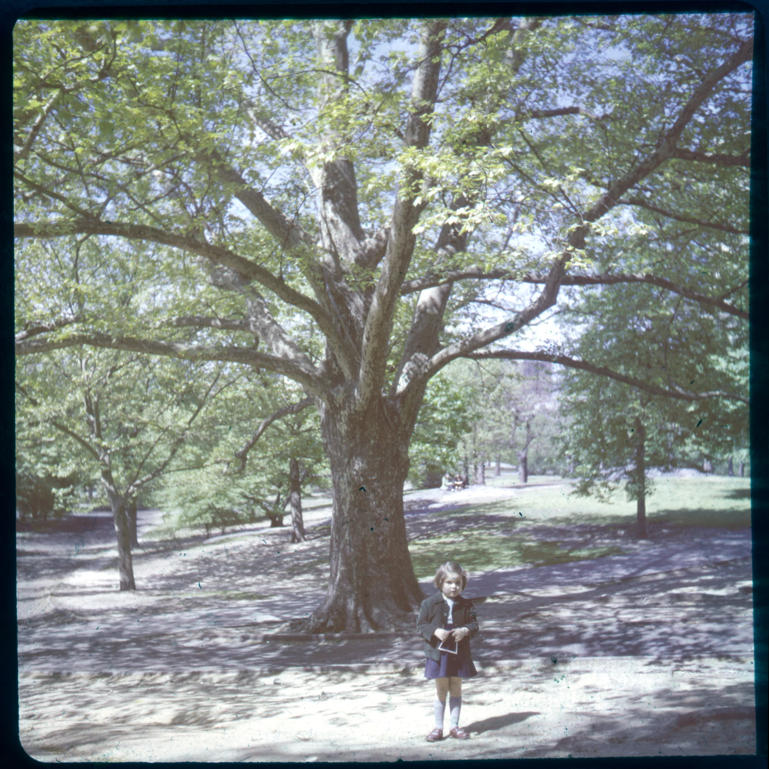 Slide 0481