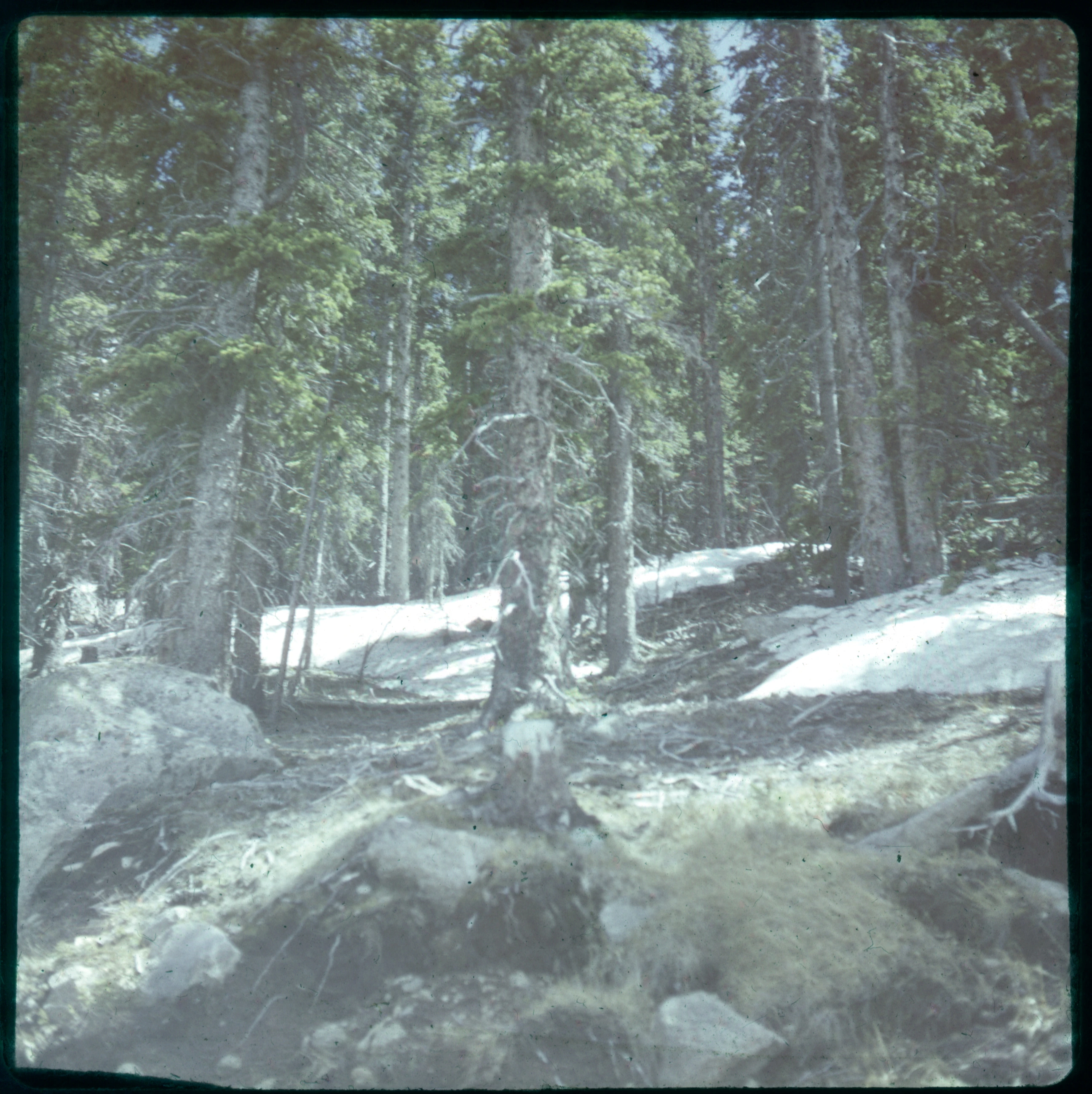 Slide 0495A